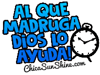 Cafe Feliz Sticker by ChicaSunshineShop