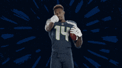 American Football GIF by Seattle Seahawks