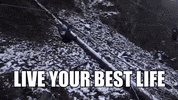 hardcore zipline GIF by Aequilibrium