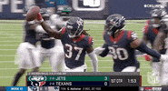 Houston Texans Football GIF by NFL