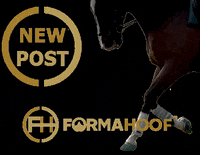 FormaHoofLtd horse pony farrier hoofcare GIF