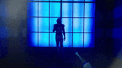Football Sport GIF by Indianapolis Colts