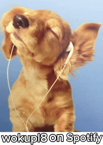 Vibing Golden Retriever GIF