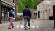 Label1TV hello hi hey birds GIF