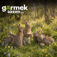 Happy Birthday GIF by Görmek Lazım