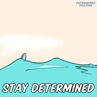 Dolphin Determine GIF by VeeFriends