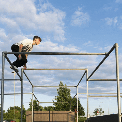 PriPro giphyupload GIF