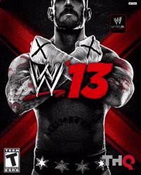 Video Game Wwe GIF