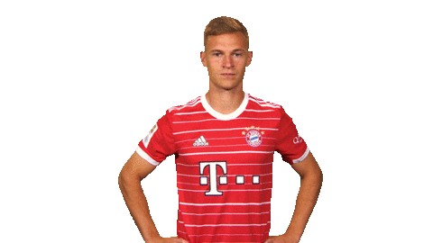 Bayern Munich Football Sticker by Bundesliga