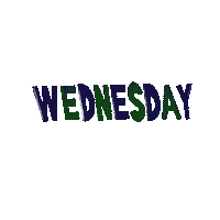 Wednesday Hump Day Sticker by Coins And Connections
