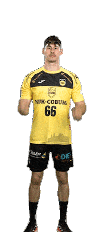 Handball Sticker by HSC 2000 Coburg