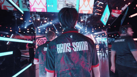 League Of Legends Lol GIF by G2 Esports
