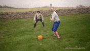 Base Ball GIF by Reconnecting Roots