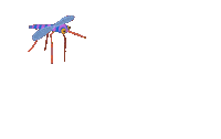 Summer Fly Sticker