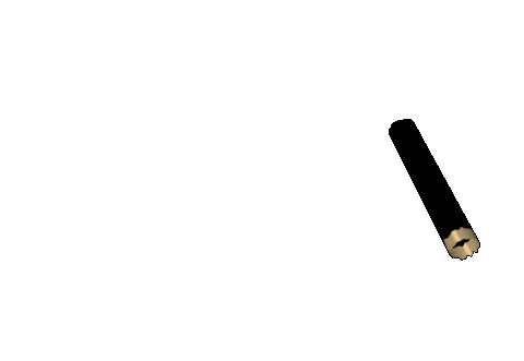 Lakeoftheozarks Sticker by SwiftandCoRealty