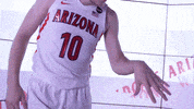 Wildcats GIF by Arizona Men's Basketball