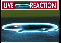 Creature Live Reaction GIF