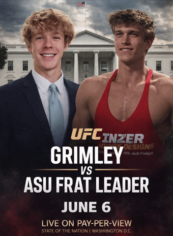 Ufc Fight GIF