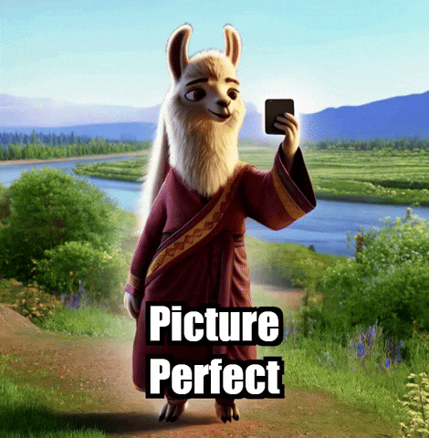 Picture Perfect Travel GIF by dalaillamazen