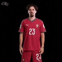 Cristiano Ronaldo Portugal GIF by Respective