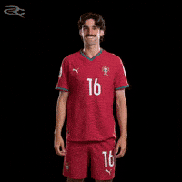 Cristiano Ronaldo Portugal GIF by Respective
