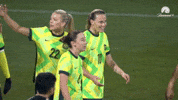 Emily Van Egmond Celebration GIF by Football Australia