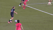 Emily Van Egmond Goal GIF by Football Australia
