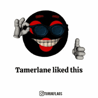 History Turk GIF
