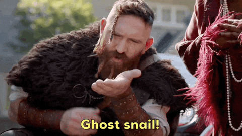 Comedy Ghost GIF by CBS
