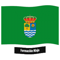 Flag Spain Sticker by Formación Ninja