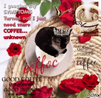 Cat Coffee GIF