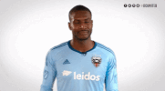 soccer mls GIF by D.C. United