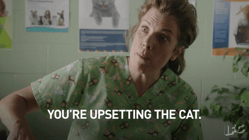 Sad Baroness Von Sketch GIF by IFC