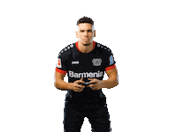 Bayer 04 Werkself Sticker by Bayer 04 Leverkusen