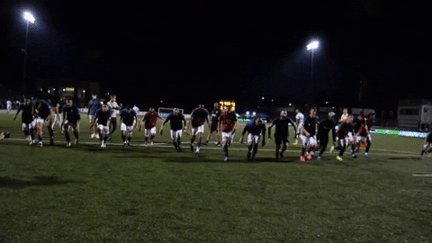 Celebrate Usl League One GIF by Greenville Triumph SC