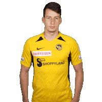 Well Done Ok Sticker by BSC Young Boys