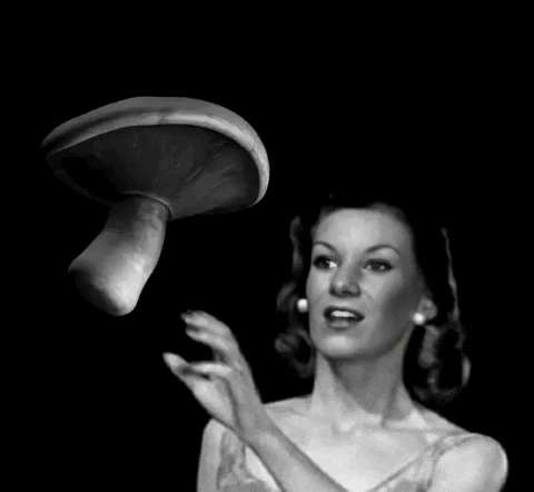 Black-And-White Mushroom GIF by Jessimae Peluso