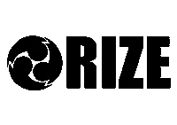 Jesse Sticker by ASF brush