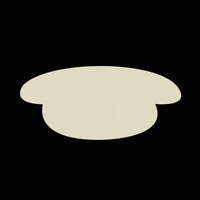 Honan cookie noodles rice chinese food GIF