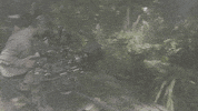 tom hiddleston kong GIF by mtv