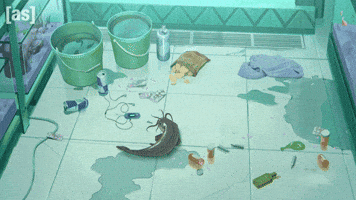 Fish Catch GIF by Adult Swim