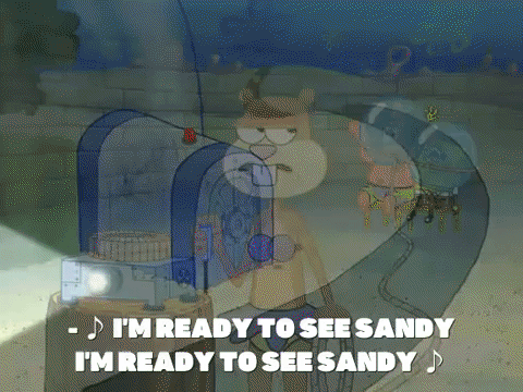 season 8 spongebob's runaway roadtrip: mooncation GIF by SpongeBob SquarePants