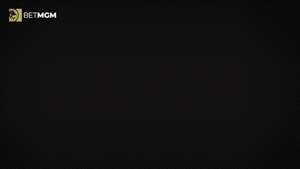BetMGM giphyupload GIF