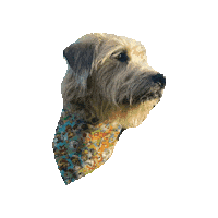 Schnauzer Sticker by Geekster Pets