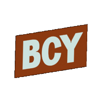 Bcy Sticker by Brick City Yoga