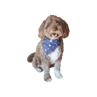 Live Long And Prosper Star Trek Sticker by Geekster Pets