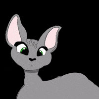 Sphynx GIF