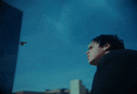 Bird Flying GIF by YUNGBLUD