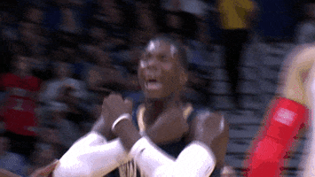celebrate black panther GIF by NBA
