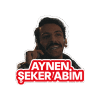 Mahsun Karaca Sticker by Gain